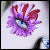 :iconNoxiousFairy: