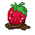:iconnoxsymphony: