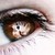 :iconnoypilady: