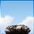 :iconnoyre: