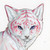 :iconnpnneto123: