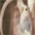 :iconnreing: