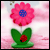 :iconnrgisflower: