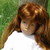 :iconnsheska: