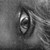 :iconnube7troy: