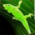 :iconnufan2039: