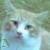 :iconnugacity:
