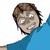 :iconnugroholuvi:
