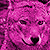 :iconnuit-loup: