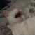 :iconnukdae: