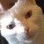 :iconnukdae: