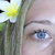 :iconnukite: