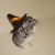 :iconnumbaoneplatypus: