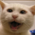 :iconnumber-9: