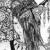 :iconnume1127: