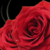 :iconnuminousx: