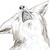 :iconnumunuucoyote: