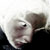 :iconnun-in-mufti:
