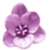 :iconnuna-xvx: