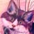 :iconnunt: