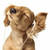:iconnunu91011: