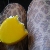 :iconnurave: