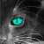 :iconnursohel: