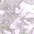 :iconnusense06: