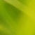 :iconnush: