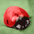 :iconnushi: