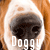 :iconnutdoggy: