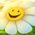 :iconnutellachocolatebars: