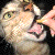 :iconnutkitty: