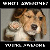 :iconnuttman117: