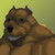 :iconnuvisionary: