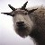 :iconnvmtngoat: