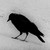 :iconnvrness: