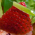 :iconnx-7: