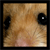 :iconNxthx: