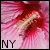 :iconny-kitten: