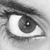 :iconNya23: