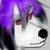 :iconnyan-anne: