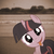 :iconnyan-ptx: