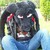 :iconnyappynyancat: