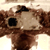 :iconnyc0: