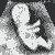 :iconnyctophilia: