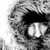 :iconnygraffit1: