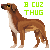 :iconnyilai: