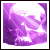 :iconnyitia: