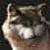 :iconnyohwolf: